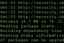 Linux Patching Screen Shot
