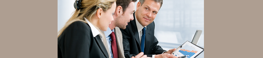 Software Development Team